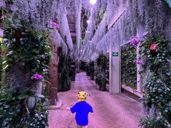 -正佳雨林生态植物园