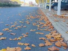 -瀛洲公园
