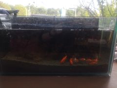 -新华书店白鹿书肆(市府路店)