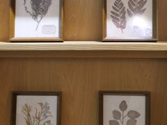 -左悦·艾灸调理·推拿按摩·精油SPA(卓悦汇店)