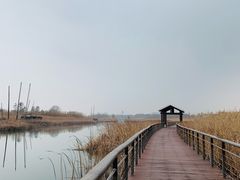 -苏州太湖湖滨国家湿地公园