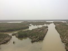 景点-盐城丹顶鹤湿地生态旅游区