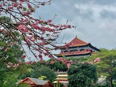 -广州莲花山旅游区