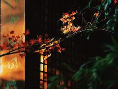 -中国茶叶博物馆(双峰馆区)