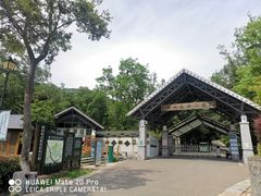 -南京老山国家森林公园