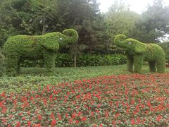 -长白岛森林公园