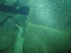 -白鹤梁水下博物馆