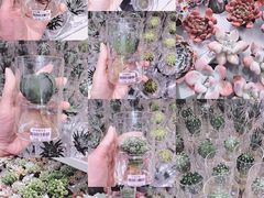 -KKV(深圳宏发大仟里店)