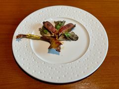 -觀芷隐轩