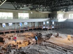 -自贡恐龙博物馆