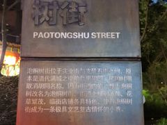 -泡桐树街