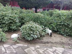 -大钟寺古钟博物馆