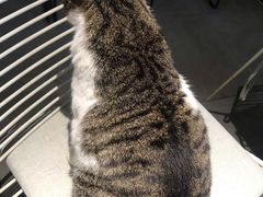 -UNI UNI(环亚凯瑟琳店)