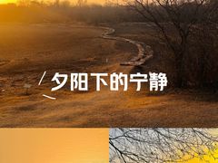 -盘龙城国家考古遗址公园