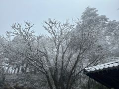 -峨眉山风景名胜区