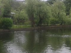 柳堤-东莞市可园博物馆