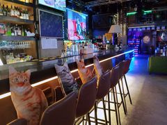 -Famous肥猫墨西哥音乐餐吧(五棵松华熙LIVE店)