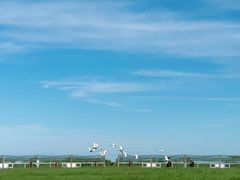 -盐城丹顶鹤湿地生态旅游区