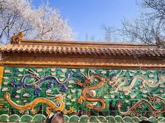 -桃花堤公园
