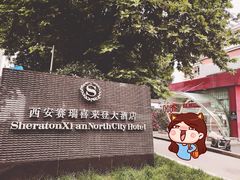 -西安赛瑞喜来登大酒店