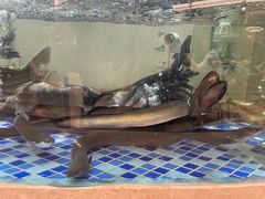 -万悦格兰云天大酒店-西餐厅