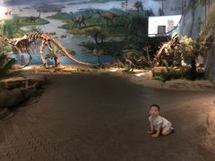 -自贡恐龙博物馆