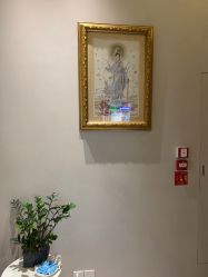 -美丽田园