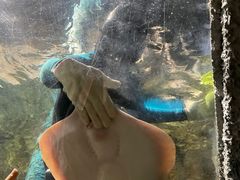 -杭州海底世界
