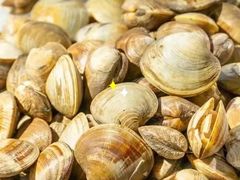 -布多斯烤肉火锅自助(江腾广场店)