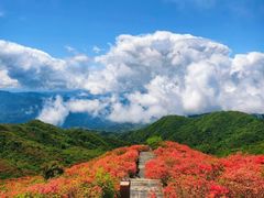 -大围山国家森林公园