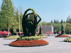 -东平国家森林公园