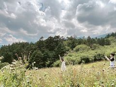 -神农架景区