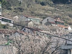 -四明山国家森林公园