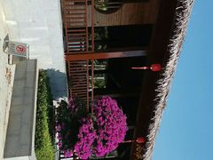 -沙美村