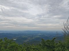 -长沙黑麋峰国家森林公园