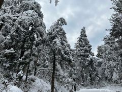 -溪口商量岗景区