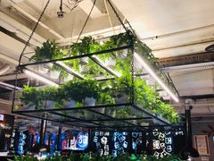-猫爪爪原切自助烤肉(观音桥阳光世纪店)