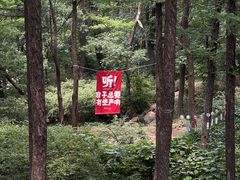 -鲁山国家森林公园