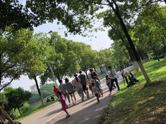 -艾溪湖湿地公园