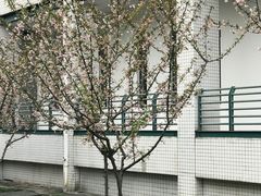 -星巴克(浙大紫金港校区店)