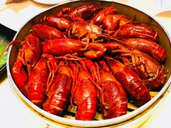 -怪怪龙虾·澳洲蓝龙上新(惊驾路店)