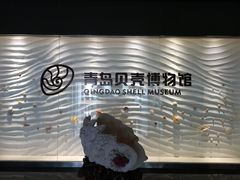 -青岛贝壳博物馆