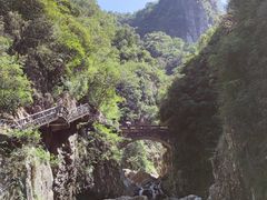 -龙湾潭国家森林公园
