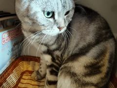 -平行世界·猫咖(首经贸店)