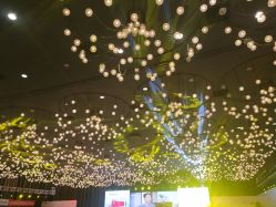 -西安威斯汀大酒店·宴会厅