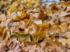 -福州大学(旗山校区)