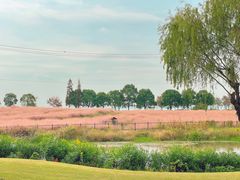 -旭宝高尔夫俱乐部