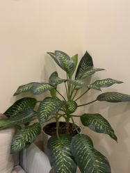 -北京米扬丽格医疗美容·联合丽格鼻整形中心