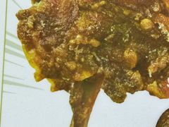 -虎头炸·潮汕南乳炸鸡(未来城店)