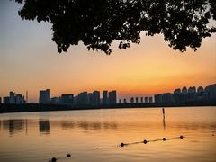 -天鹅湖体育公园
